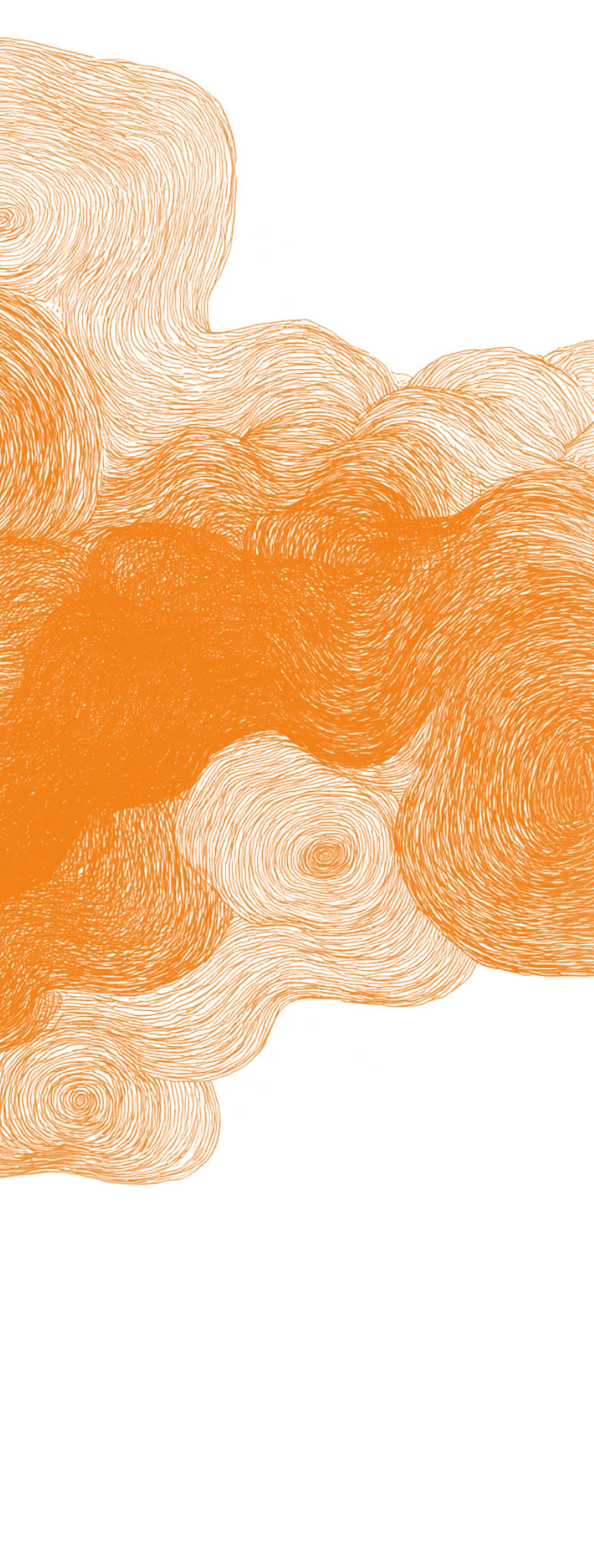 Shape Orange Sapiensapiens