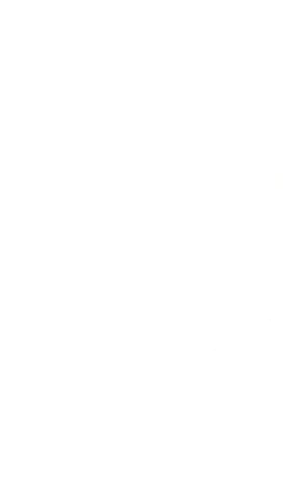 Shape White Sapiensapiens