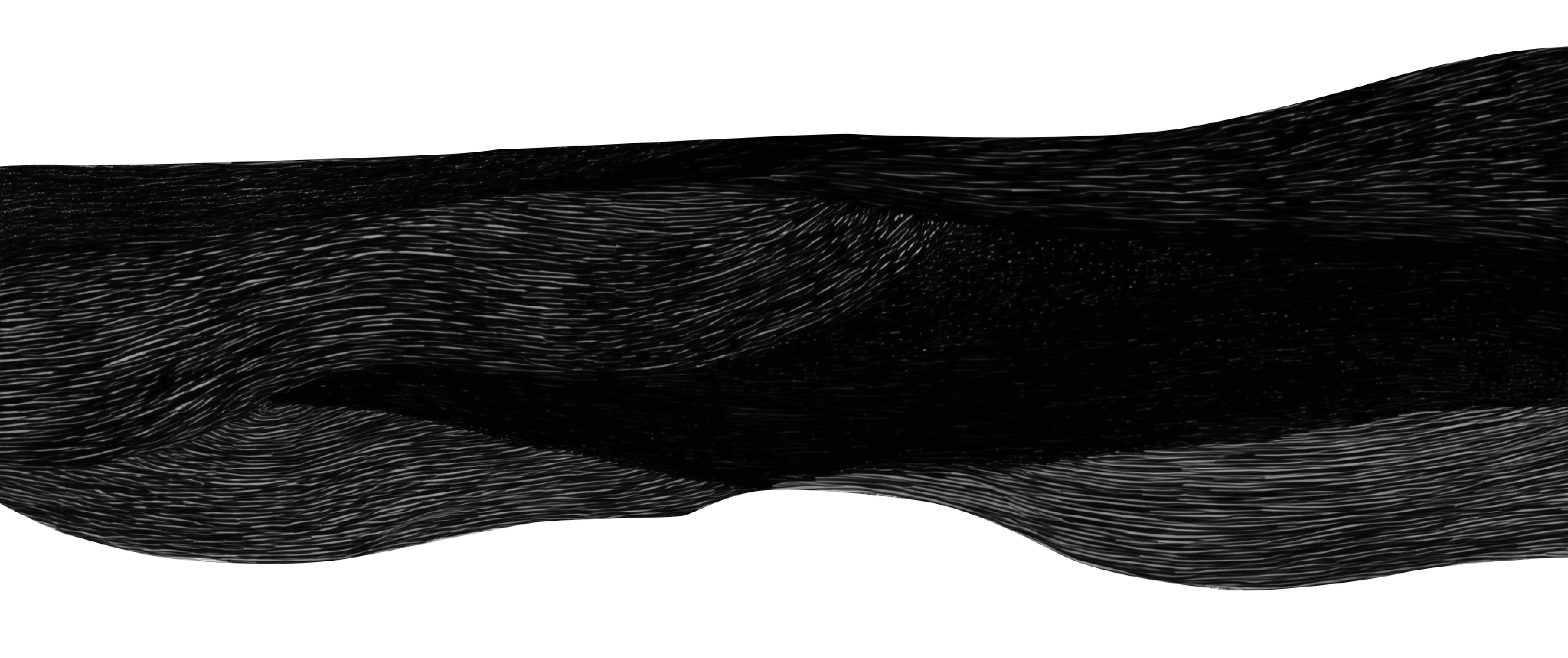 Shape Noir Sapiensapiens