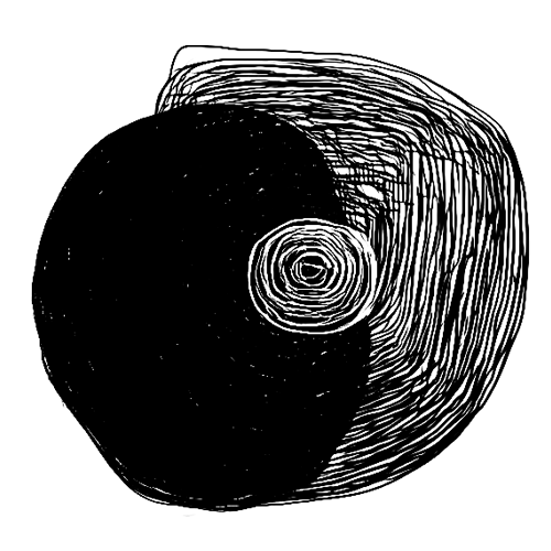 Conseil Stratégique Sapiensapiens 